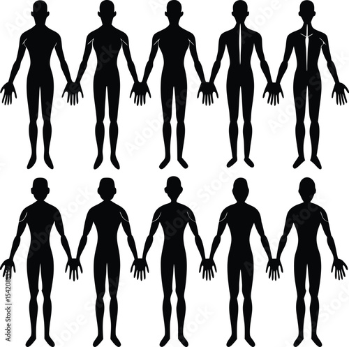Human Body Silhouette Vector Set: Anatomy, Figures, Medical Illustration, Black and White Graphics