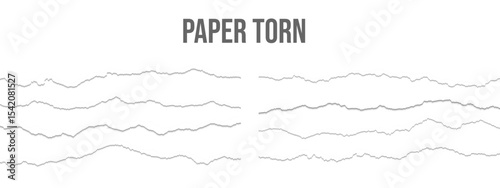 Realistic torn paper edges vector