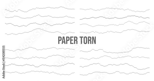 Realistic torn paper edges vector