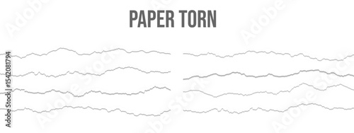 Realistic torn paper edges vector
