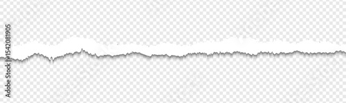 Realistic torn paper edges, vector illustration