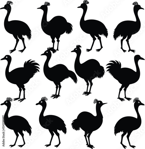 Cassowary Bird Silhouettes Pattern: Black & White Vector Illustration of Flightless Birds