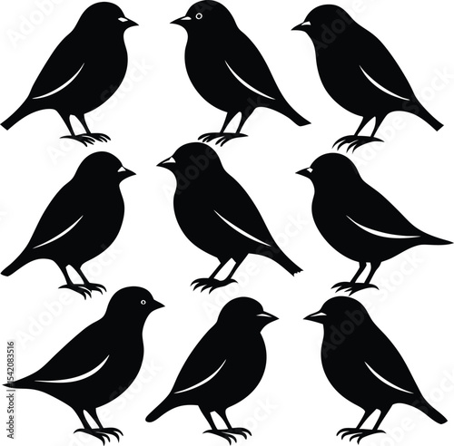 Nine Black Birds Silhouette Vector Illustration, Birdwatching Graphic Design Element