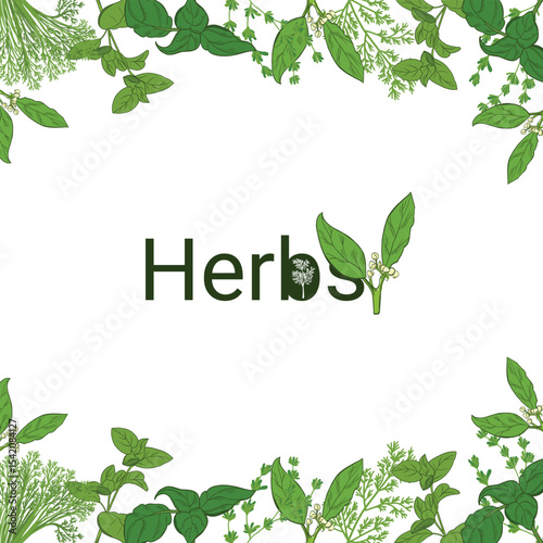 Herbs vector frame with hand-drawn green leaves and lettering. Botanical border illustration for packaging, labels, organic branding, recipes, and eco design.