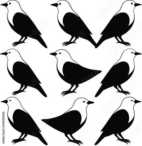 Black and White Bird Silhouettes Illustration, Vector Graphic Design, Ornithology Art Print