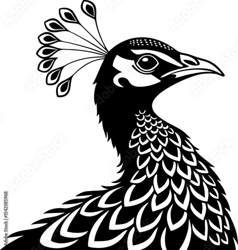 black and white illustration of a peacock's head and upper body