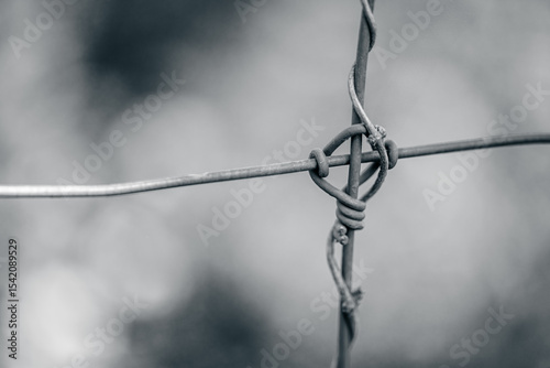 Photography Black in white closeup of a woven wire fence in greyscale