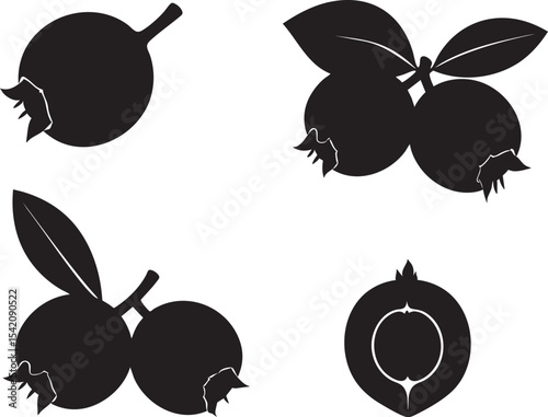 Vector Silhouettes of Blueberries Four Poses for Design Projects