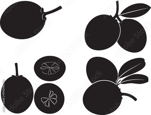 Silhouette Vector Set of Sapodilla Fruit Whole, Sliced, and Seed Variations