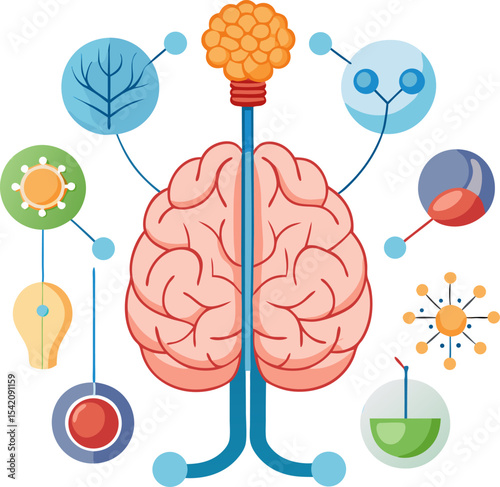 vector illustration of a brain