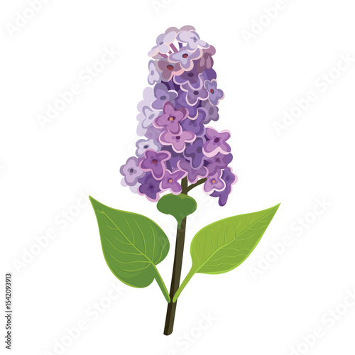  Realistic lilac branch with flowers and leaves on a white background. Vector.