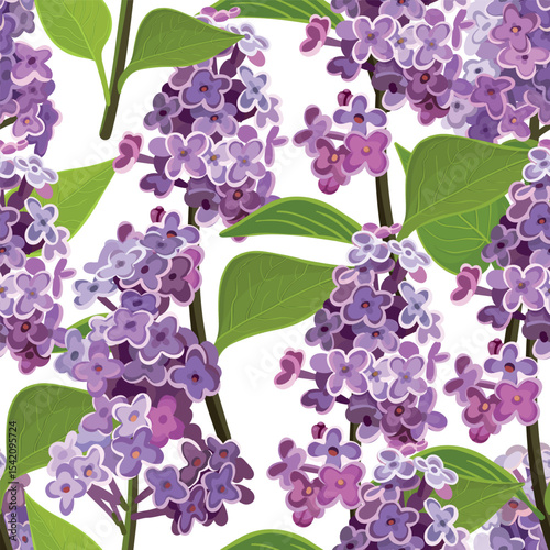 Seamless background pattern of lilac branches.  Realistic lilac pattern branch with flowers and leaves on a white background. Vector.