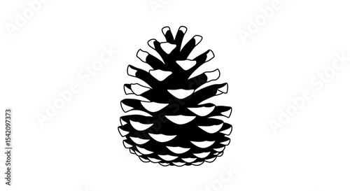 Pinecone Vector Illustration | Black and White Botanical Cone Art

