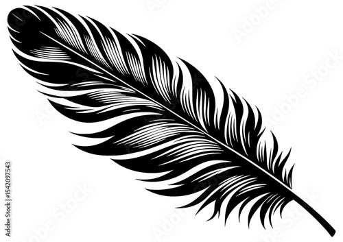 black and white feather positioned horizontally at an angle