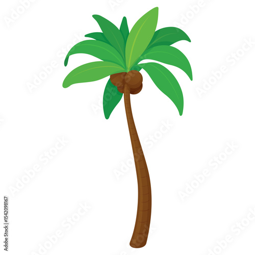 Coconut palm tree with lush green leaves and ripe coconuts on white background, perfect for tropical themes or summer designs.