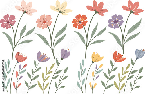 Assorted Floral Isolated on White, Botanical Stems and Flowers Art