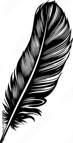black and white feather arranged vertically