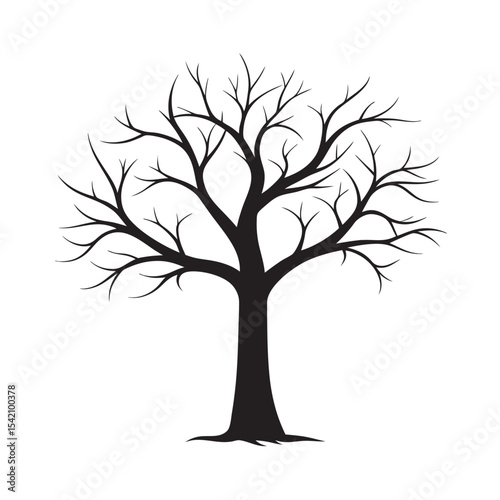 Leafless Tree Silhouette Winter Season Vector