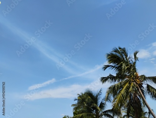 Fototapeta Naklejka Na Ścianę i Meble -  Artistic cirrus clouds float tin the afternoon sky surface