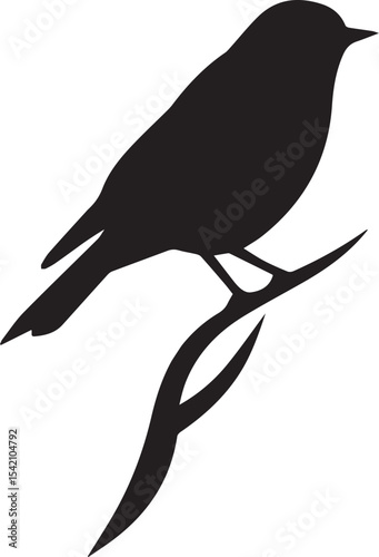 bird, wing, flying, avian, beak, feather, perch, nature, flight, crow, eagle, dove, falcon, hawk, sparrow, gull, heron