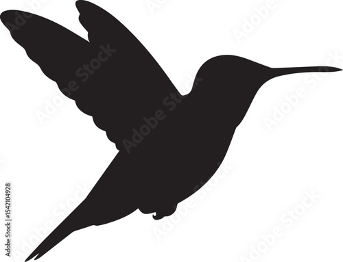 bird, wing, flying, avian, beak, feather, perch, nature, flight, crow, eagle, dove, falcon, hawk, sparrow, gull, heron