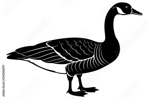 goose isolated on white background