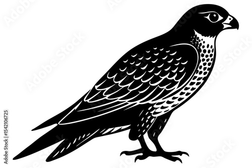 eagle on a white background