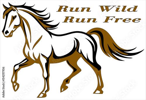 A vector of a horse design for t-shirt