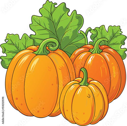 Cartoon Pumpkins with Leaves Illustration for Halloween or Thanksgiving Day