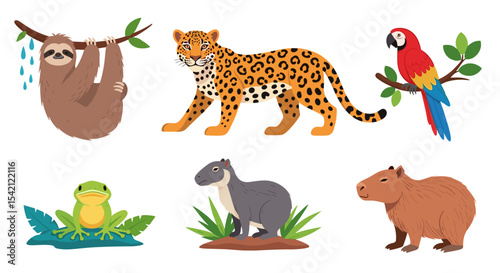Illustration of a sloth jaguar parrot frog tapir and capybara animals set