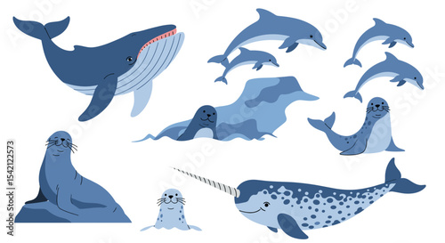 Illustration of marine animals including whales dolphins seals and a narwhal