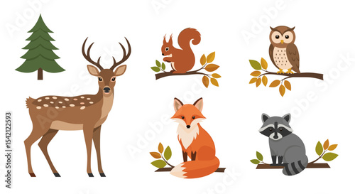 Illustration of a deer, tree, squirrel, owl, fox, and raccoon in a forest scene