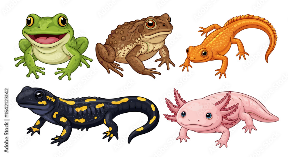 Obraz premium Illustration of a group of amphibians including frogs toads and salamanders