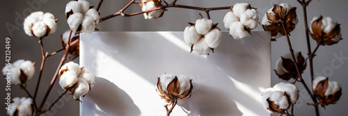 Gray background long banner featuring central white paper sheet illuminated by sunlight, surrounded by delicate cotton stems and white blooms