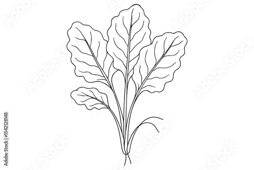 Minimalistic illustration of healthy green leaves, showing delicate patterns and veins, in black and white.