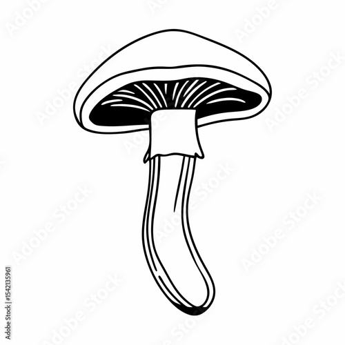 mushroom on a white background