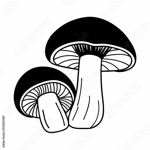 mushroom vector illustration