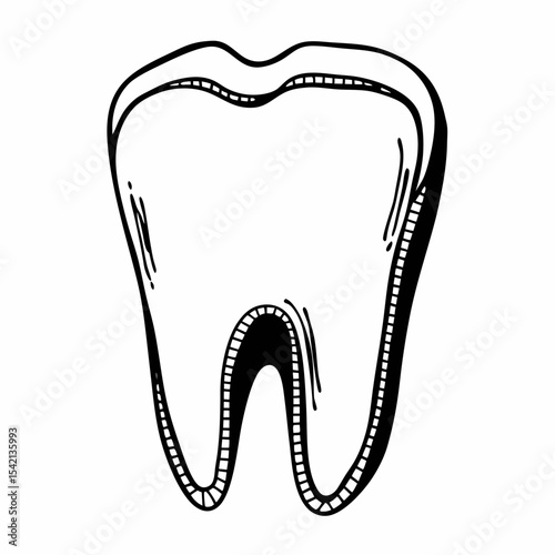 tooth