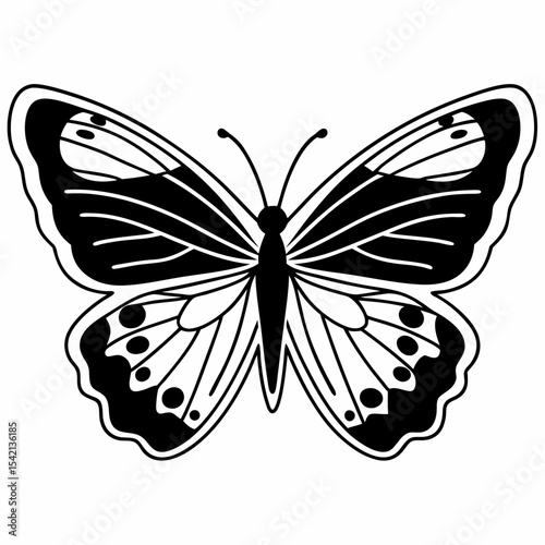 butterfly vector illustration