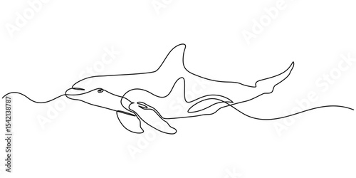 Continuous single drawn one line drawing of whale. Vector illustration, Continuous one line drawing of dolphin. Simple illustration of dolphin pair line art vector illustration, Continuous one line