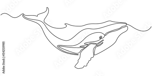 Continuous single drawn one line drawing of whale. Vector illustration, Continuous one line drawing of dolphin. Simple illustration of dolphin pair line art vector illustration, Continuous one line