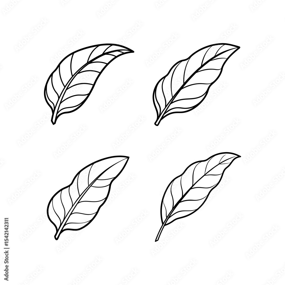 Banana Leaf Spread Line Art Illustration Banana Leaf Spread Line Art Illustration