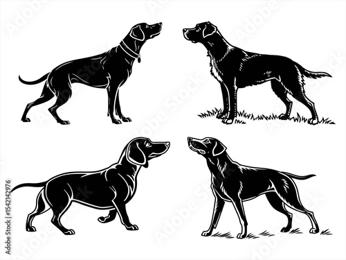 dog sihouette black vector bundle