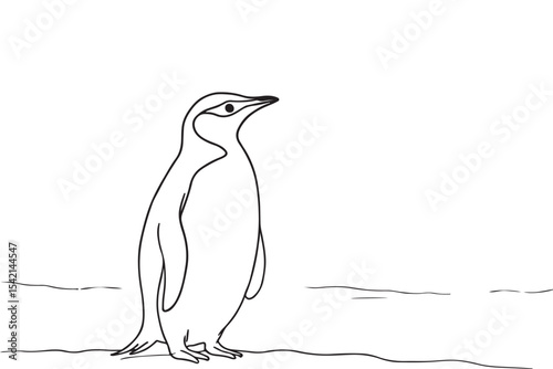 Simple, clean sketch of a penguin, emphasizing its graceful silhouette against a white background.