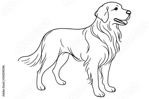 Line art drawing of a golden retriever with long fur, capturing the grace and playfulness of the breed in a minimalist style.