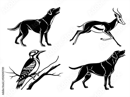 bird dog hunting sihouette black vector bundle