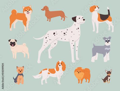 Dog breeds set in flat cartoon style. Cute vector illustration of adult purebred dogs of different colors and sizes. Cheerful and happy pets for print or web