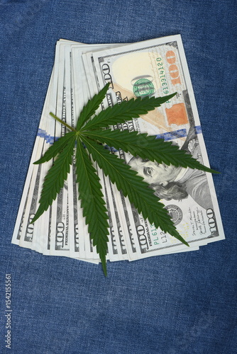 Hemp leaf in jeans background. Industrial hemp leaf on jeans fabric.