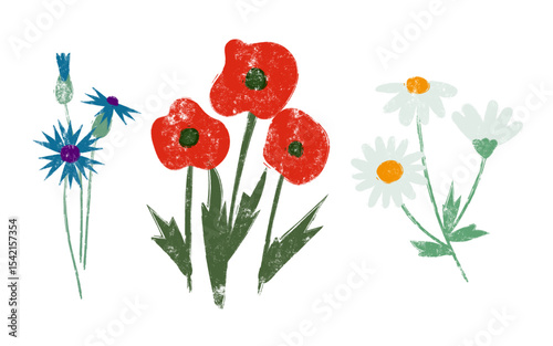 Rustic Wildflowers Set - Poppies, Chamomiles, Cornflowers - Grunge Texture Style