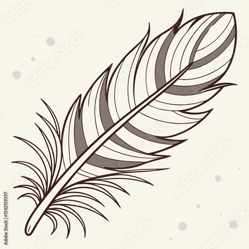 feather on white background